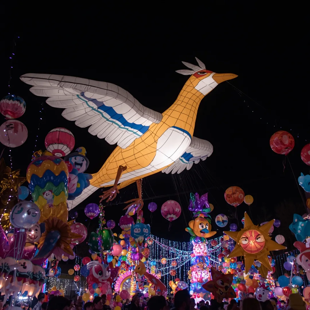 Inflatable Birds design 20